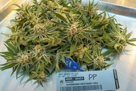Конопля с ценником в магазине